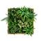 20" Framed Queensland Rainforest Artificial Living Wall Art Panel